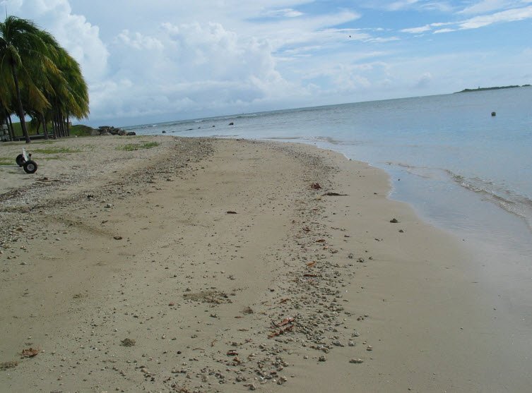 Gatas, Puerto Rico